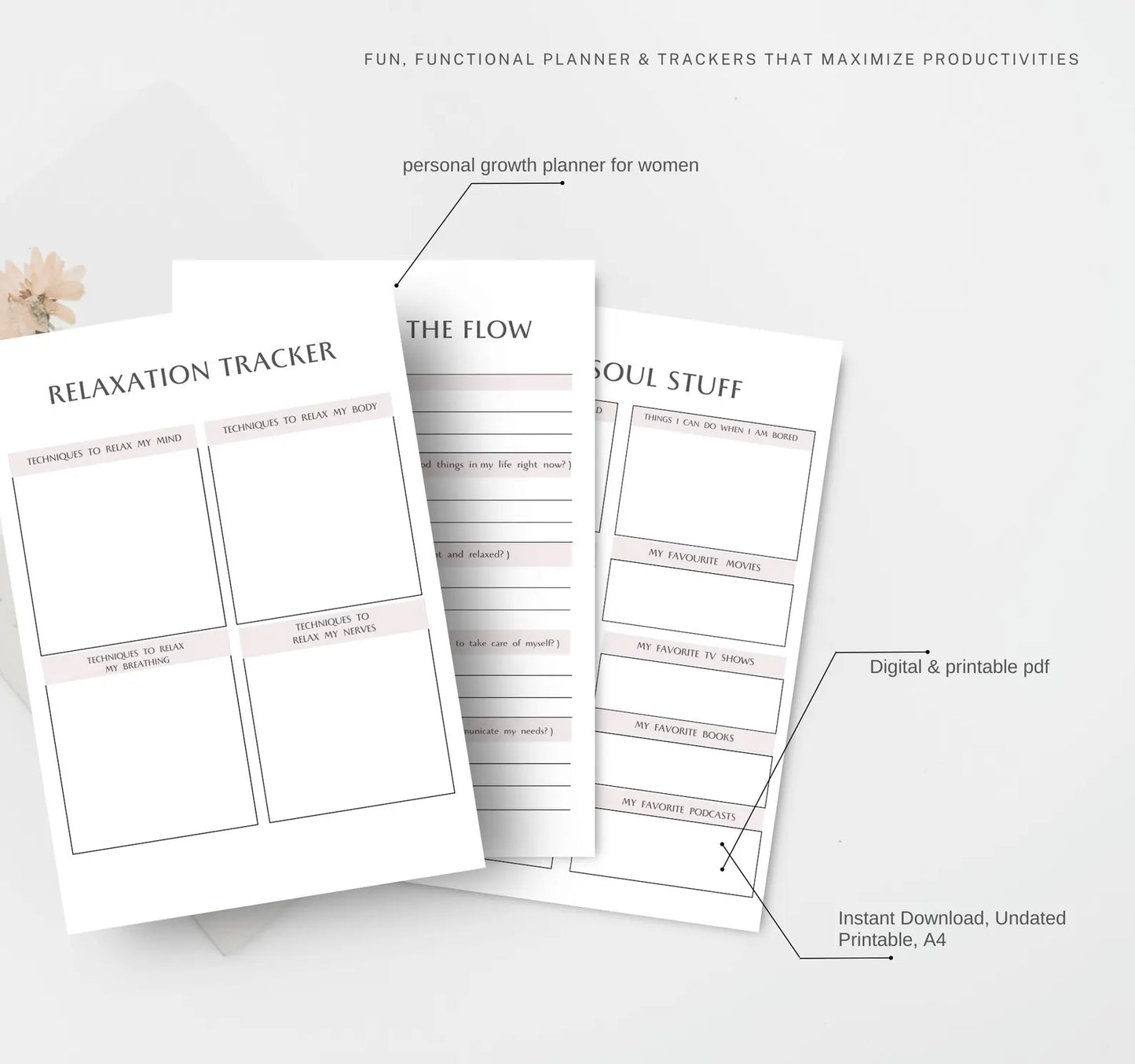 PLR Personal Development Planner for Women