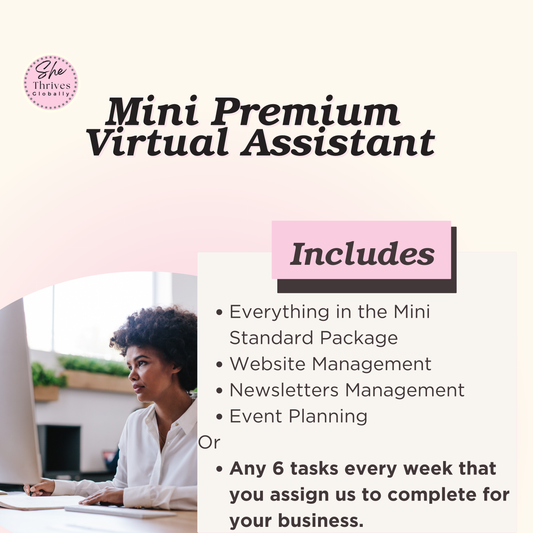 MINI PREMIUM PACKAGE